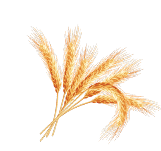 domaci kolac snikers sastojak brasno