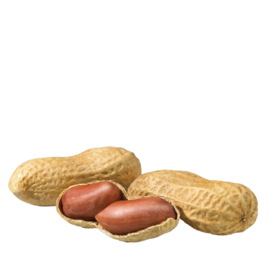 domaci kolac snikers sastojak kikiriki