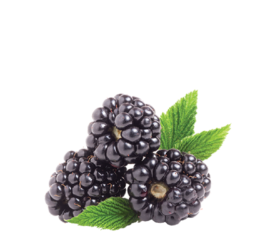 domaci kolac fantasy sastojak kupine