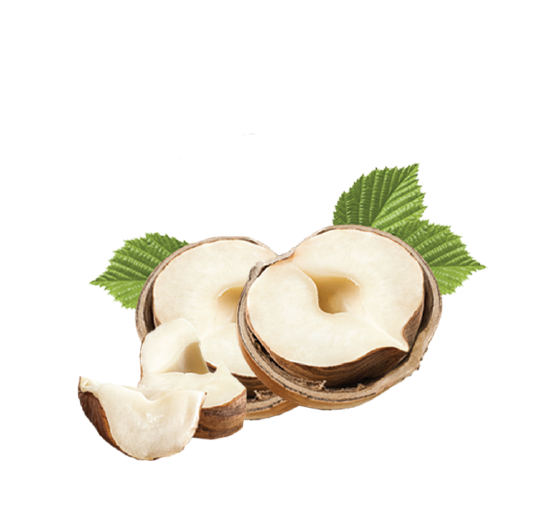 Premium Nugat sastojak lesnik