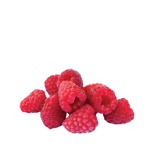 Fantasy torta sa plazmom sastojak sastojak kupine