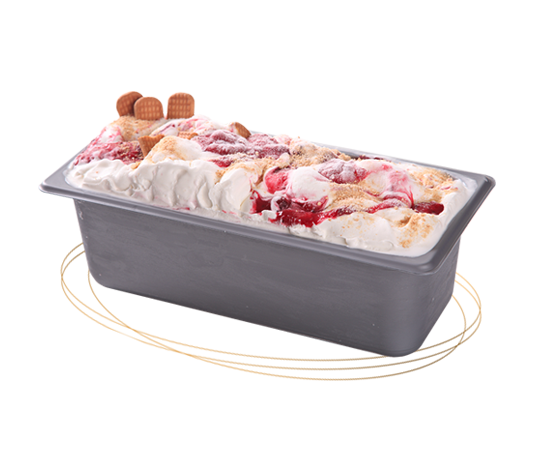 horeca sladoled plazma Gelato Srbija