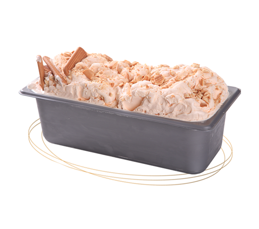 horeca sladoled plazma lesnik Gelato Srbija