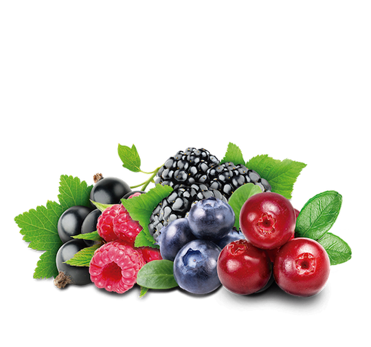 cheescake kompozicija sastojak sumsko voce