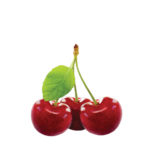 Don Corleone sastojak visnja